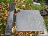 image of grave number 695766